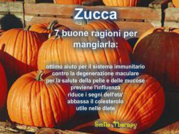 proprietà della zucca